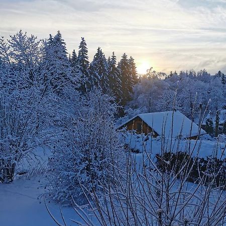 Ferienwohnung Am Wald Schmiedefeld am Rennsteig Exterior foto