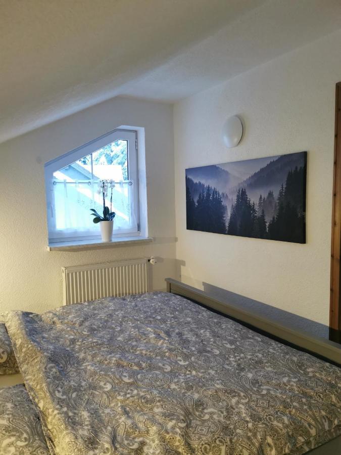 Ferienwohnung Am Wald Schmiedefeld am Rennsteig Exterior foto
