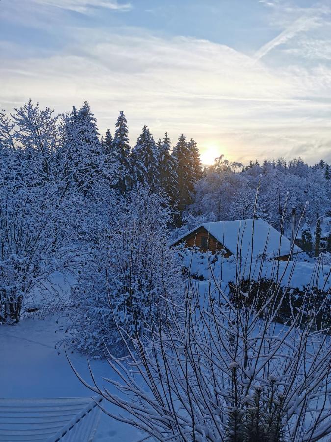 Ferienwohnung Am Wald Schmiedefeld am Rennsteig Exterior foto